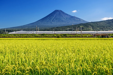 稲穂が垂れてきた田園からのくっきり夏富士と新幹線