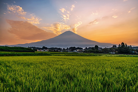 富士を望む田園からの色付く空