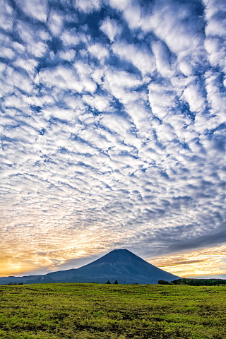 秋をたっぷり感じる鱗雲
