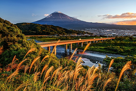 富士川SAからのススキと富士山