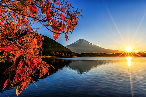 湖畔の色付いた木々と日の出富士