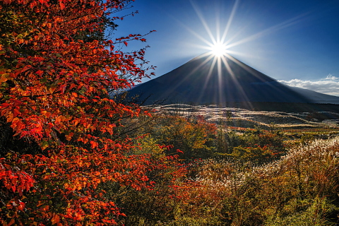 紅葉とダイヤモンド富士！