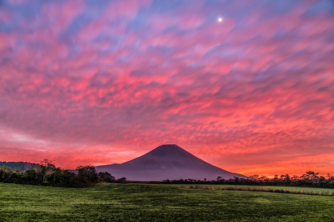 美しく色付く夜明けの鱗雲