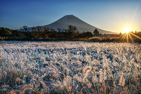 降霜の草原からの朝富士