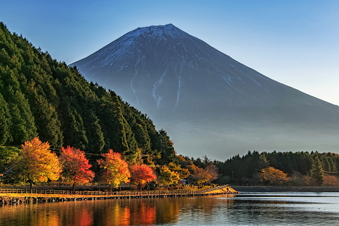 湖畔の紅葉並木と富士山