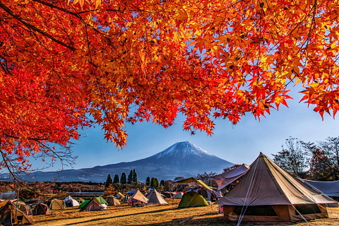 キャンプ場からの紅葉富士