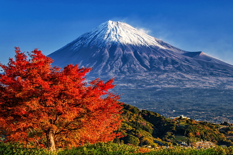 富士川SAの美しい紅葉と富士山