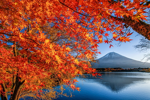 紅葉残る湖畔からの富士山