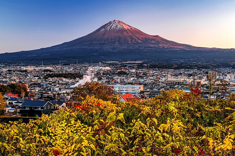 早朝の色付く富士山と木々