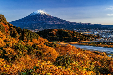まだ色付いた葉が残る山林からの富士山