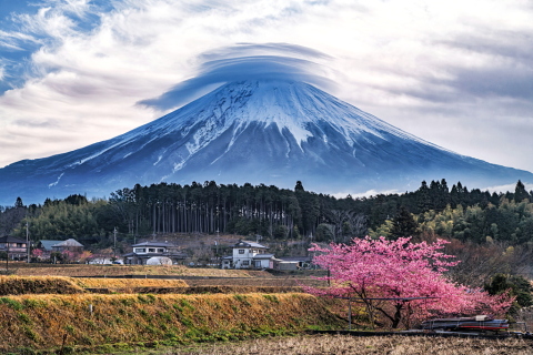 河津桜咲く里山からの笠富士