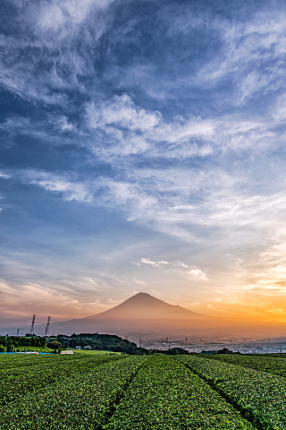 朝日に染まる富士と流れる雲