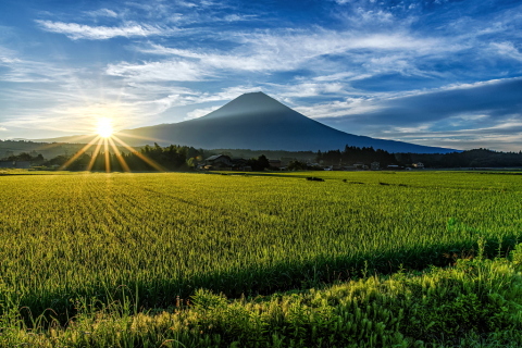 田園からの素敵な日の出と富士山