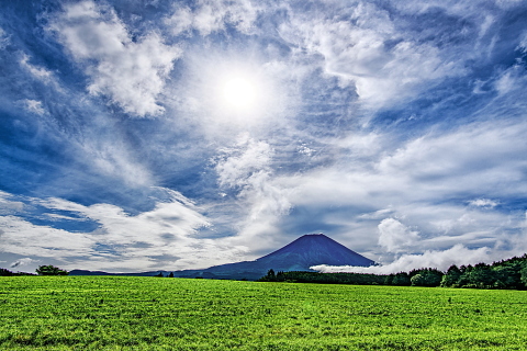 高原で姿を見せた夏富士