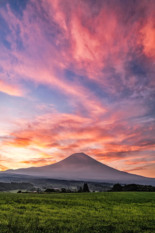 高原牧草地からの見応えある朝焼け富士山