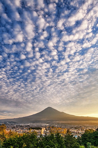 秋の深まりを感じる鱗雲
