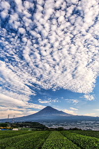 2024年11月05日