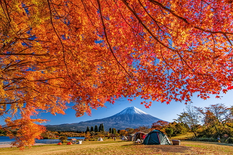 湖畔キャンプ場の紅葉と富士山