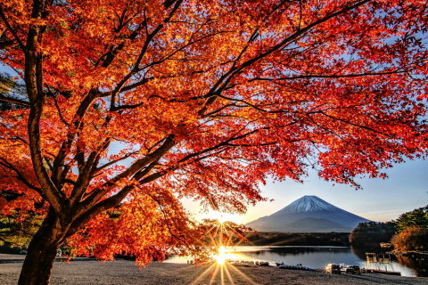 まだ残る湖畔の紅葉越しの富士