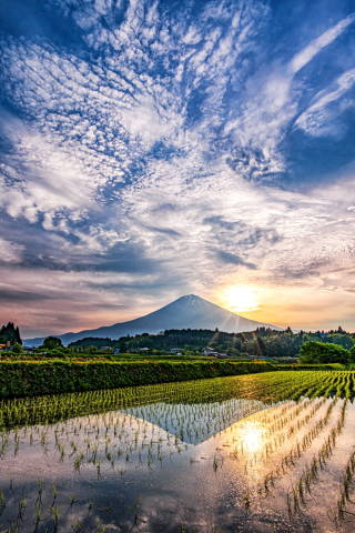 里山水田からの素敵な朝景色