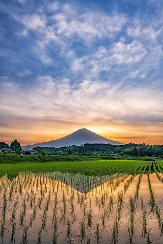 早朝の里山水田からの癒し風景