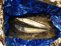 新秋刀魚が入荷しました!! 2013/09/26 12:36:42