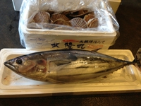 本日の入荷!! 2013/10/17 13:12:35