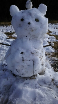 まだ雪が、、