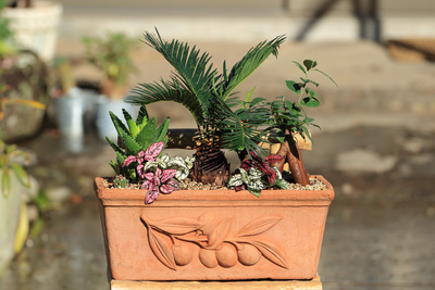 寄せ植え