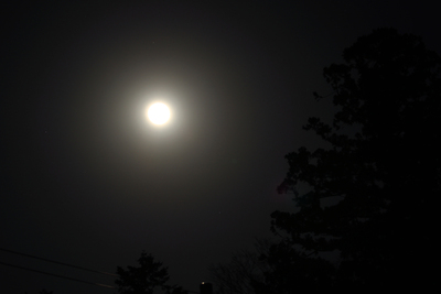夜空を見上げたら