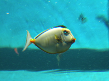 箱根園水族館～箱根行き当たりばっ旅：その６