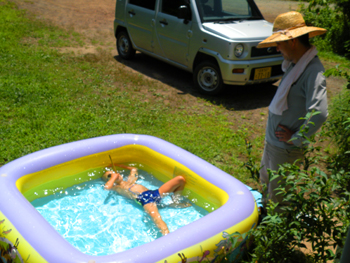 最後まで夏を楽しむジャミラ君。