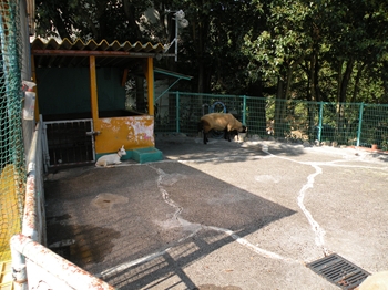 謎～日本平動物園その３～