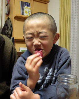 やまめさんの奥様特製、梅干しに挑戦！