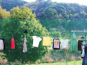 洗濯物の向こう側