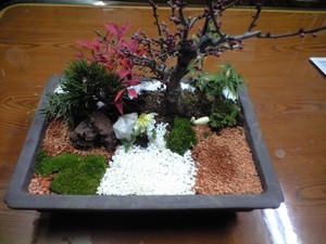 寄せ植え