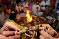 雨ごいの結婚式＝インド