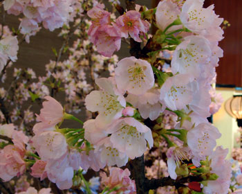 花の宴