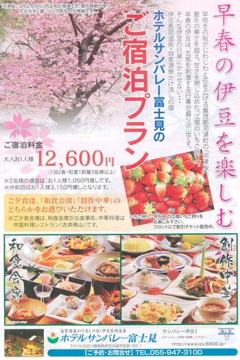 チラシが出来ました。