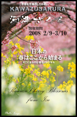 河津桜