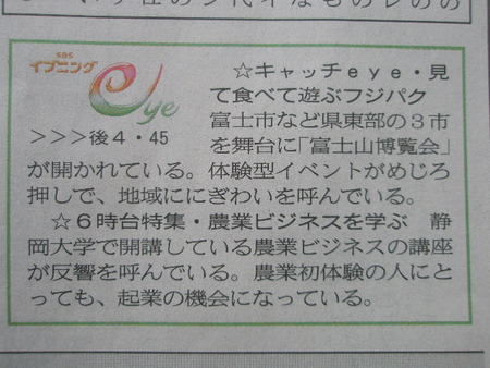 静岡新聞テレビ欄