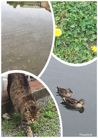 小さな小さな努力？ 2018/05/31 12:28:27