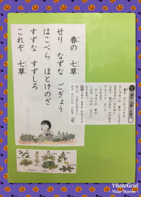 秋の七草！ 2017/10/25 16:57:15