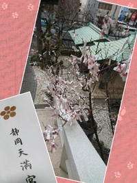 頑張れ受験生❗ 2018/01/13 09:11:57