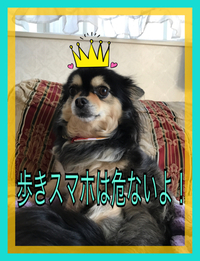 歩きスマホ 2017/06/11 22:34:51