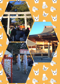初詣！ 2018/01/03 11:17:54