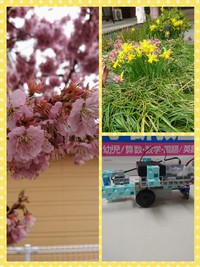 三寒四温です 2018/03/08 13:20:18