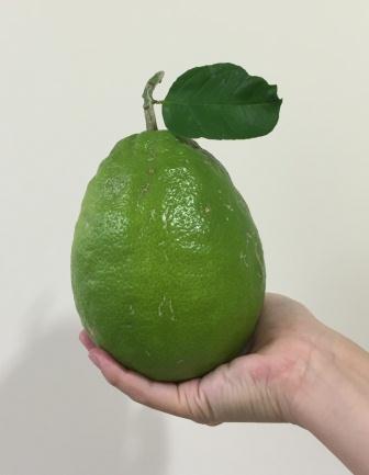 レモン