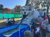 「清水町産業祭」「国際交流フェスタ」「わんわんフェスティバル」「農業祭」
