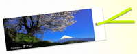 「一本桜と富士」 富士山しおり No.21